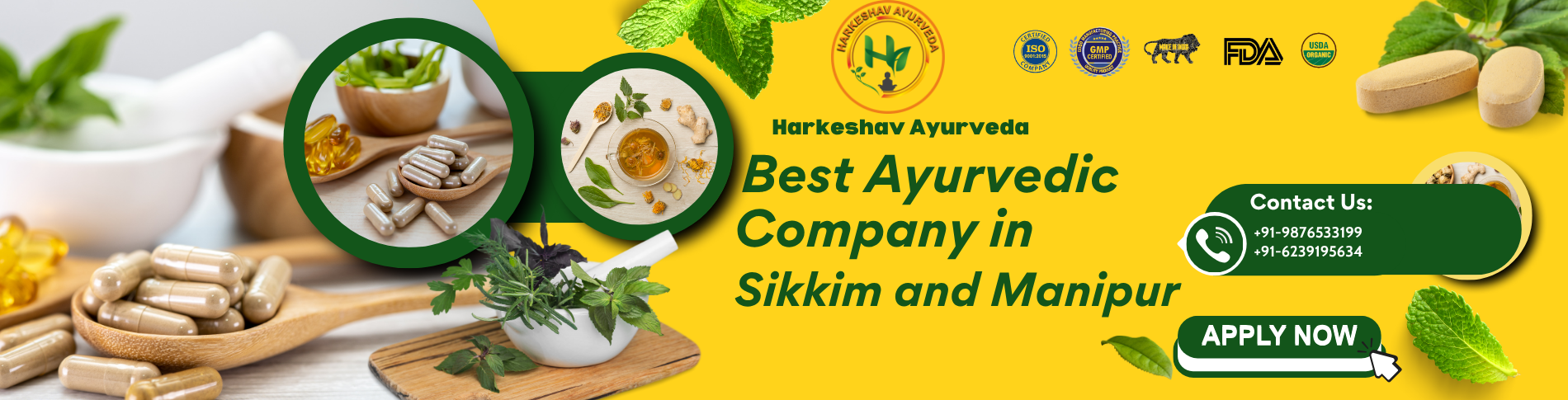 Best Ayurvedic Company in Sikkim and Manipur | Harkeshav Ayurveda