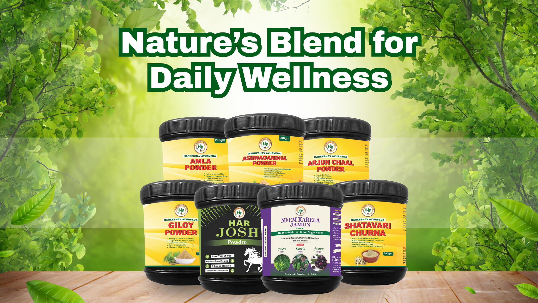 Ayurvedic PCD Pharma franchise