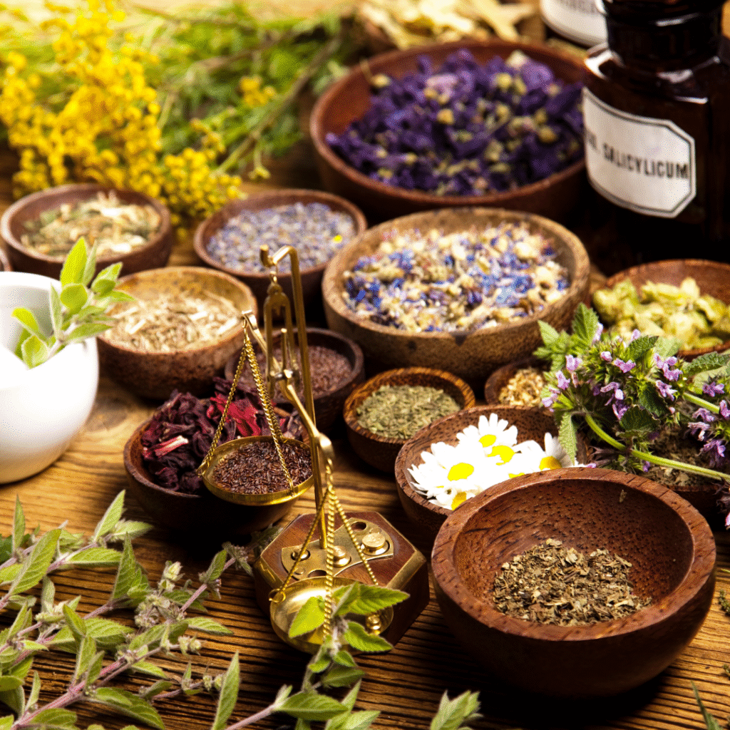 Ayurvedic Franchise Company in India