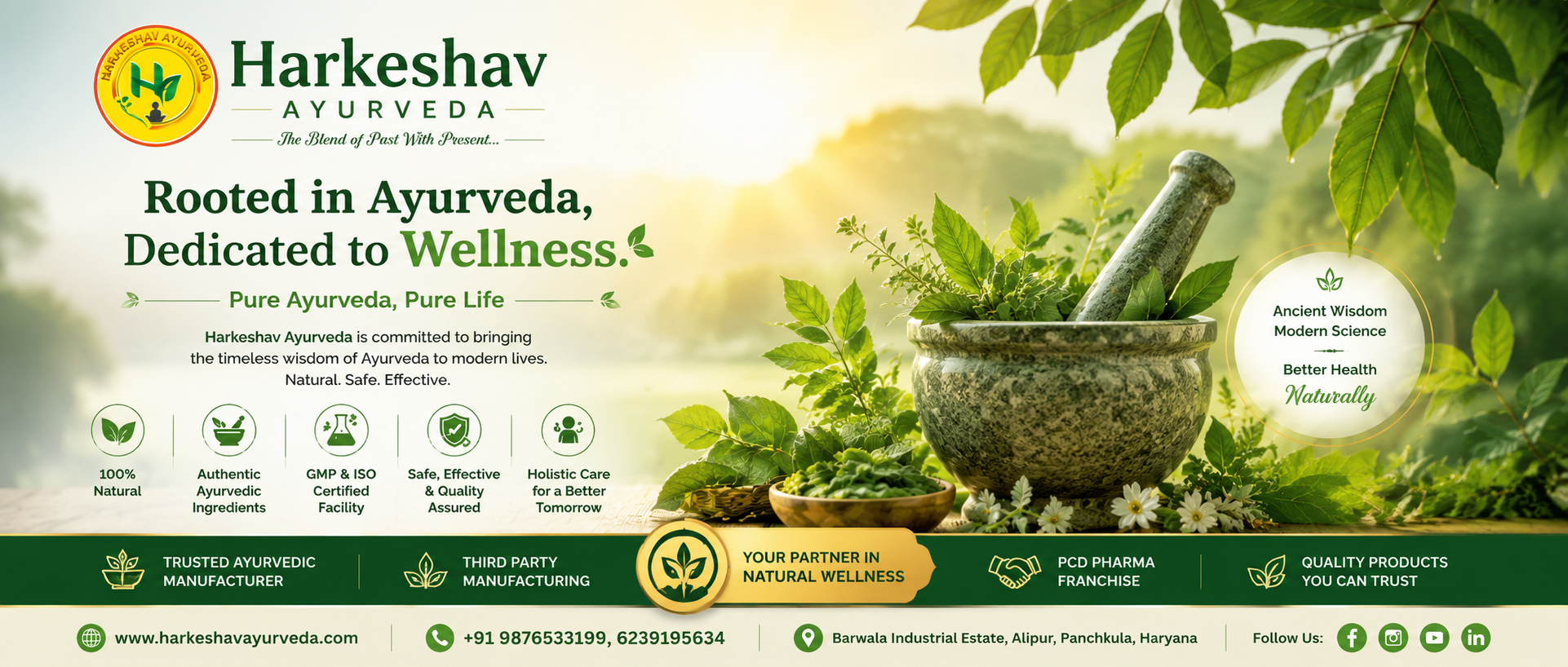 Ayurvedic PCD Company