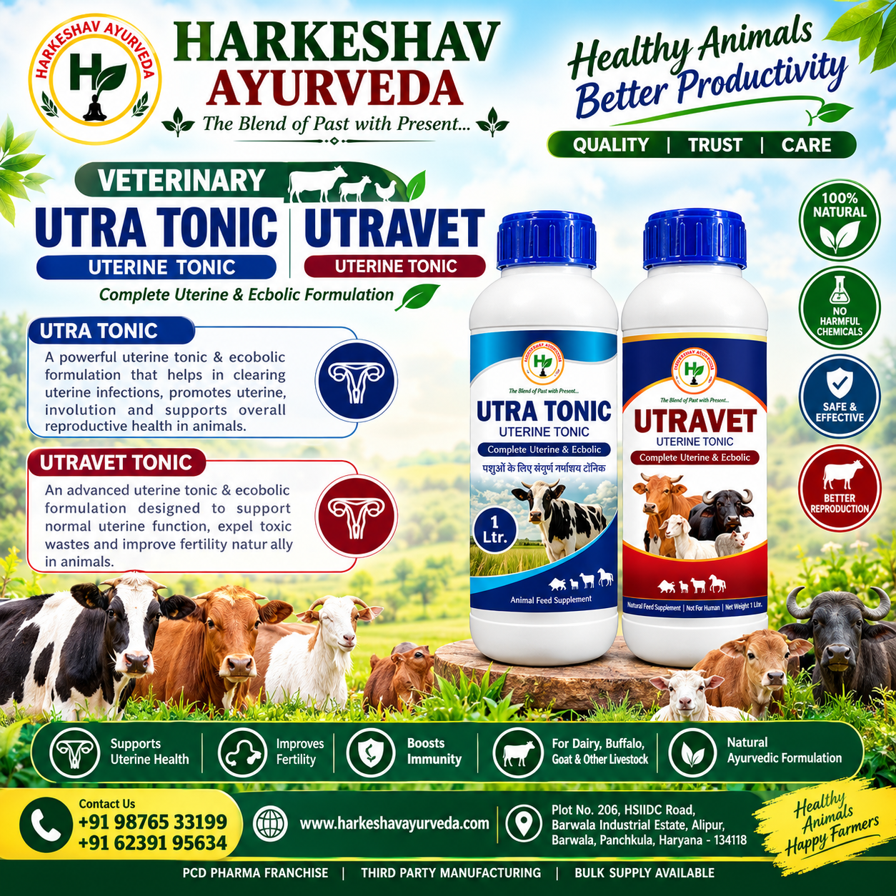 Veterinary PCD Franchise
