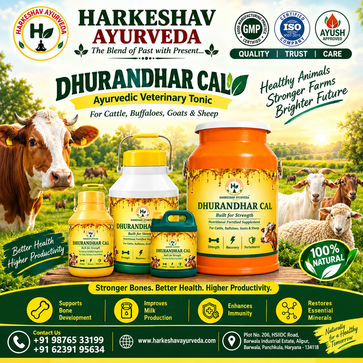 Veterinary PCD Franchise