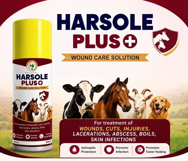 Veterinary PCD Franchise